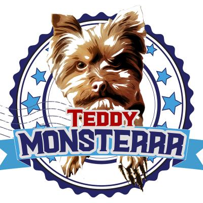 Teddy Monster 5a Cartoon